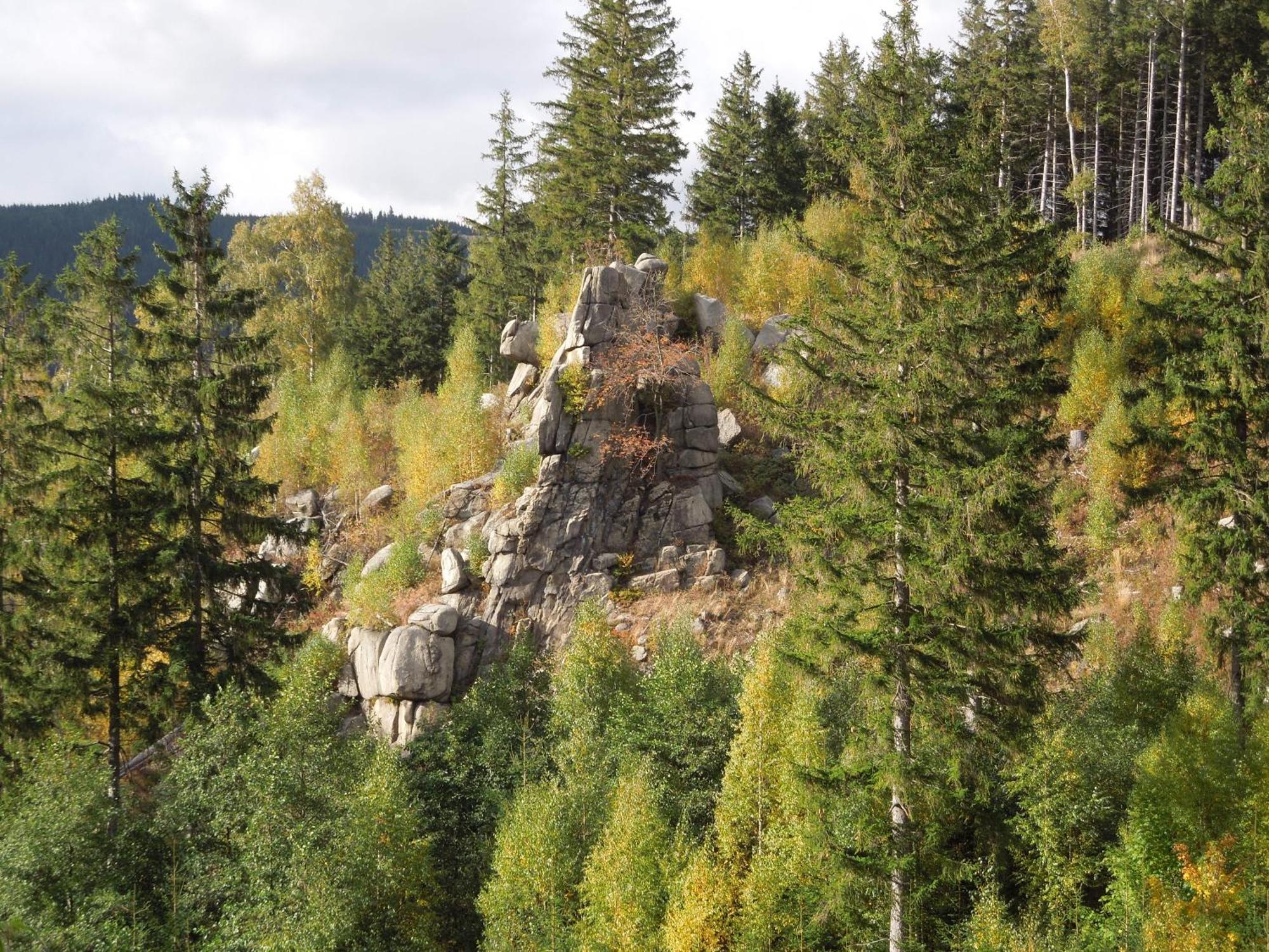 Blockhaus Bodefall Braunlage Exterior photo